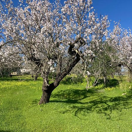 Casa Tranquila Barrada Villa Alcoutim Eksteriør bilde